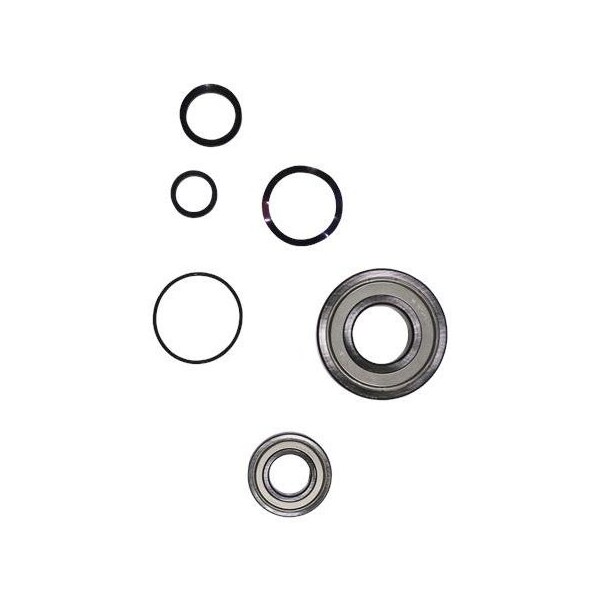 Pump Repair Kits- Kit, Ball Bearing 6308.SYN/6206.SYN, Spare Part.